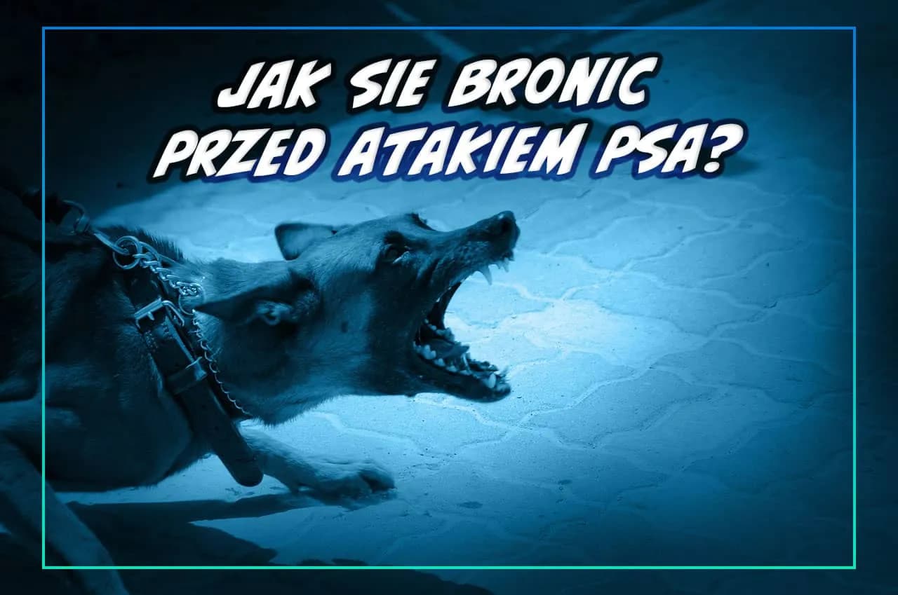 Jak bronić się przed psem? Unikaj ataku, działaj w kryzysie!